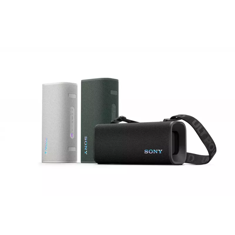 Sony SRSULT30H Przenośny głośnik stereo Szary