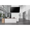 Neomounts uchwyt ścienny do telewizora o dużej wytrzymałości 125 kg 43-98 cali VESA 100x100-800x600