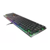 Klawiatura gamingowa GENESIS Thor 420 RGB USB QWERTY US International Srebrny