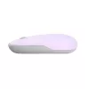 Mysz ASUS Marshmallow MD100 do biura, oburęczna, RF Wireless + Bluetooth, optyczna, 1600 DPI