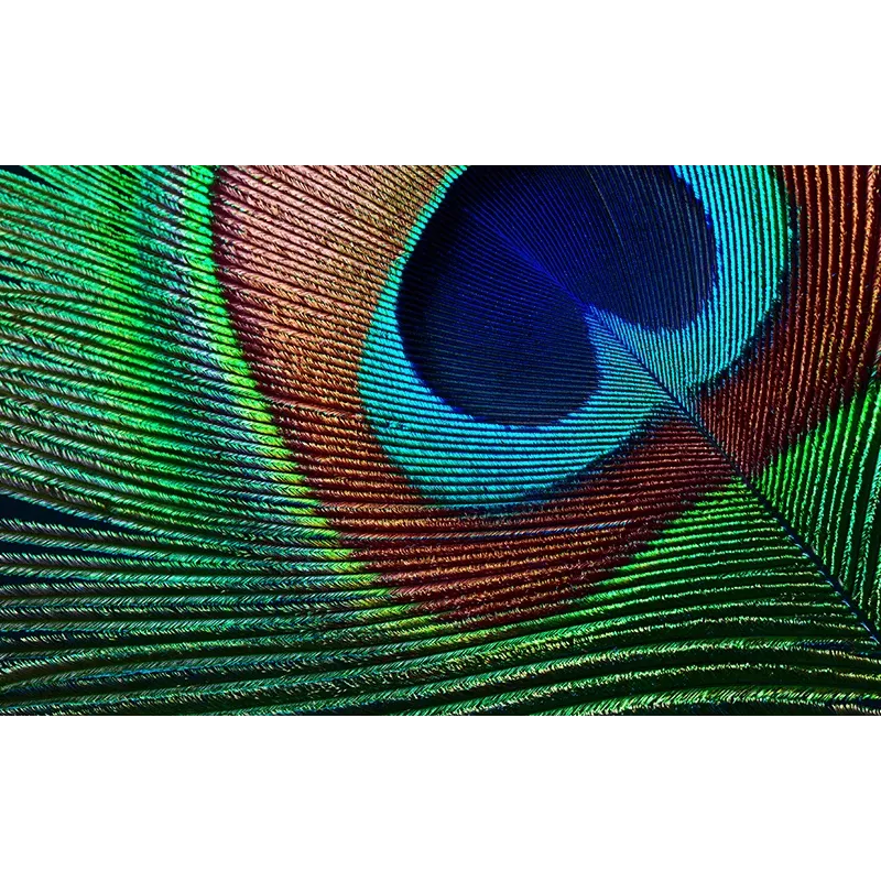 Projektor Epson EH-TW7000 o standardowej ogniskowej, 3000 ANSI lumenów, 3LCD, UHD 4K (3840x2160), 3D, biały