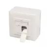 Gniazdo natynkowe 2 x RJ-45 LogiLink NP0124