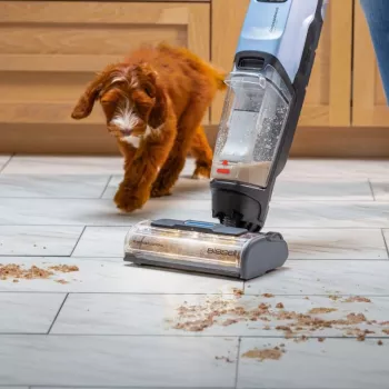 Bissell CrossWave EdgeFind Select Upright vacuum AC Dry&wet Bagless 340 W Czarny, niebieski