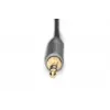 Przewód adaptera audio Digitus DB-510330-010-S 3,5 mm na RCA 1 m Czarny