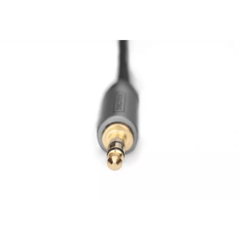 Przewód adaptera audio Digitus DB-510330-010-S 3,5 mm na RCA 1 m Czarny