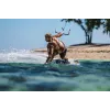Headset Shokz OpenSwim Pro — otwarty przewodnictwo kostne bezprzewodowy zestaw słuchawkowy, IP68 wodoodporny, Bluetooth 5.4, 32 GB, 9 h odtwarzania, szary