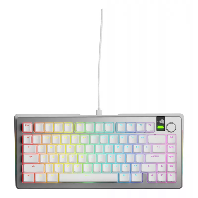 Mechaniczna Klawiatura Gamingowa GLORIOUS GMMK 3 PRO 75% Przewodowa USB QWERTY RGB Srebrna (US)
