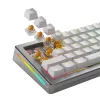Glorious Gaming Glorious Panda HE Switches - 36 sztuk, przełączniki klawiaturowe, poliwęglan (PC), przezroczyste, żółte