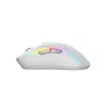 Glorious Gaming Glorious Model D 2 Wireless - Matowa Biel, Praworęczna, Bezprzewodowa RF, 19000 DPI, Biała