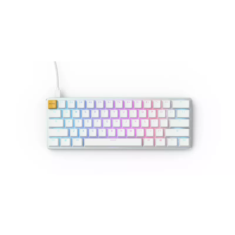 Klawiatura Glorious Gaming GMMK USB QWERTY US International srebrna, biała