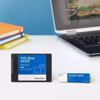 WESTERN DIGITAL SSD - WD niebieski SA510 - 250GB - SATA 6Gb/s - M.2 2280
