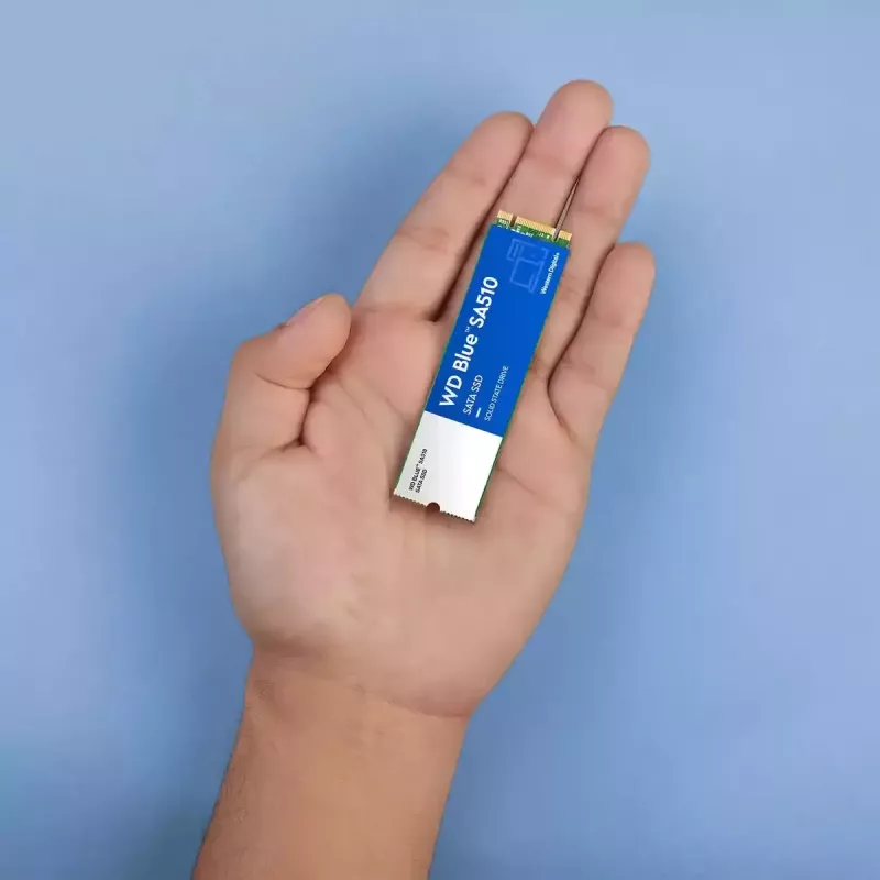 WESTERN DIGITAL SSD - WD niebieski SA510 - 250GB - SATA 6Gb/s - M.2 2280