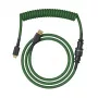 Glorious Gaming Glorious GMMK Spiralny kabel Forest Rain, zielony, 1.4 m, 1 szt., Glorious Gaming, USB Type-A, USB Type-C, Aviator