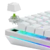 Glorious Gaming Glorious Raptor Clicky Mechanical Switches - 36 Pieces