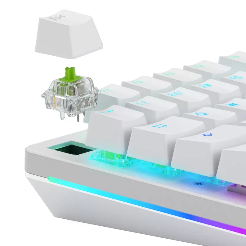 Glorious Gaming Glorious Raptor Clicky Mechanical Switches - 36 Pieces