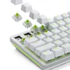 Glorious Gaming Glorious Raptor Clicky Mechanical Switches - 36 Pieces