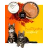 Mokra karma dla kota 3coty Kurczak z krylem dla kociąt, 80 g, karma pełnoporcjowa, bez cukru, bezglutenowa i bezsojowa
