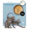 3Coty mokra karma dla kociąt z indykiem i kurczakiem, 80 g