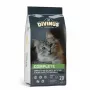 Sucha karma dla kota DIVINUS Cat Complete 20 kg — karma dla dorosłych kotów, kurczak, 30% białka, 12% tłuszczu