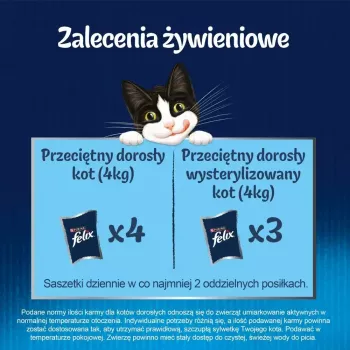 Mokra karma dla kotów Purina Nestlé PURINA Felix Countryside Selection multipack 120×85 g saszetek, dla dorosłych kotów, mieszane smaki, bezglutenowa