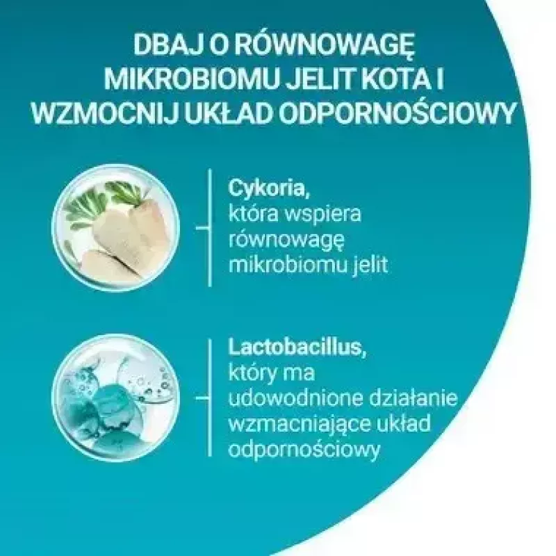 Sucha karma dla kota Purina Nestlé One Sterilcat Wołowina 9,75 kg — koty dorosłe sterylizowane, 37% białka