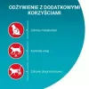 Sucha karma dla kota Purina Nestlé One Sterilcat Wołowina 9,75 kg — koty dorosłe sterylizowane, 37% białka