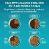 Sucha karma dla kota Purina Nestlé One Sterilcat Wołowina 9,75 kg — koty dorosłe sterylizowane, 37% białka