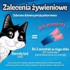 Mokre przysmaki dla kota Purina Felix Deli Moments Pasta z łososiem 4 x 10 g tubka