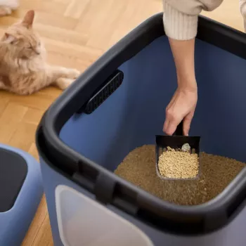 Kuweta rotho Biala XL — duża plastikowa kuweta dla kota, niebieska, filtr węglowy, otwór do zawieszenia, 576×499×614 mm, 2,5 kg