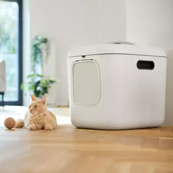 Kuweta rotho Biala XL — duża plastikowa kuweta dla kota, biała, 499×614×576 mm, filtr węglowy, otwór do zawieszenia