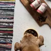 Mokra karma dla psa OLLO Pure Pork 850 g — kompletna mokra karma dla dorosłych psów, monobiałkowa, 17% białka, 11,5% tłuszczu, 63% wilgotności