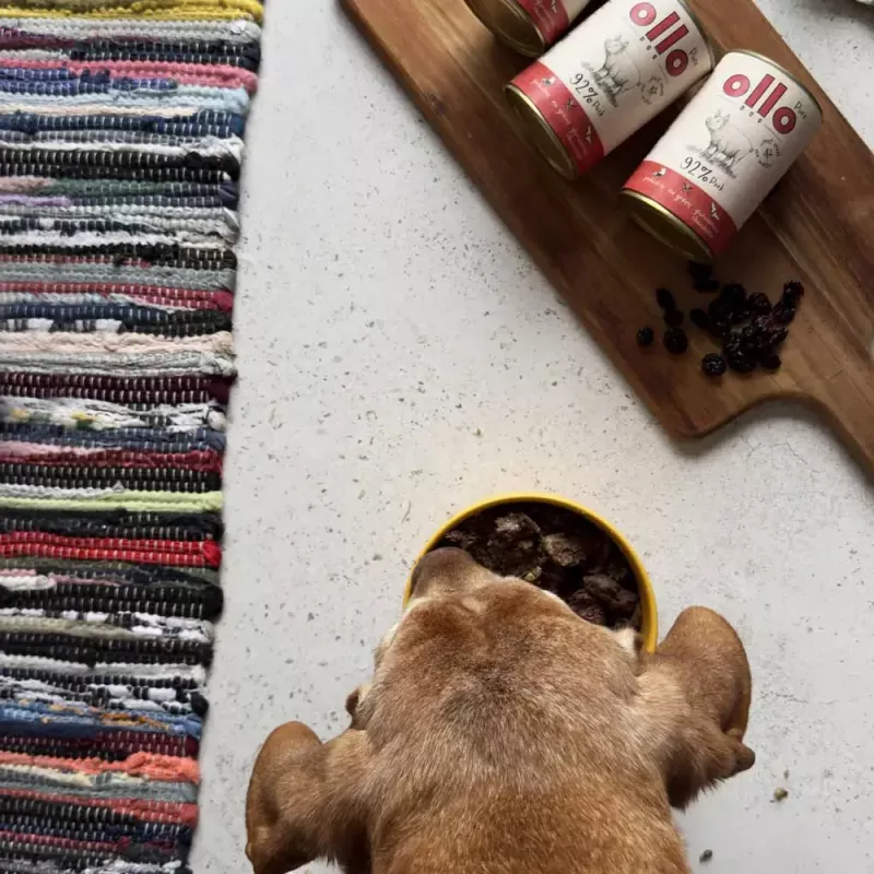 Mokra karma dla psa OLLO Pure Pork 850 g — kompletna mokra karma dla dorosłych psów, monobiałkowa, 17% białka, 11,5% tłuszczu, 63% wilgotności