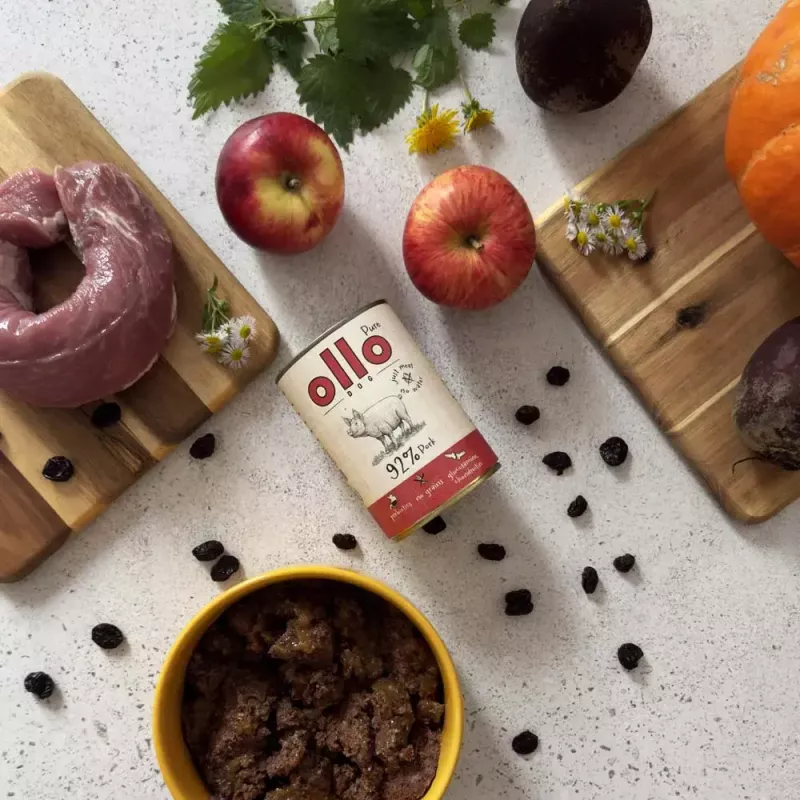 Mokra karma dla psa OLLO Pure Pork 850 g — kompletna mokra karma dla dorosłych psów, monobiałkowa, 17% białka, 11,5% tłuszczu, 63% wilgotności