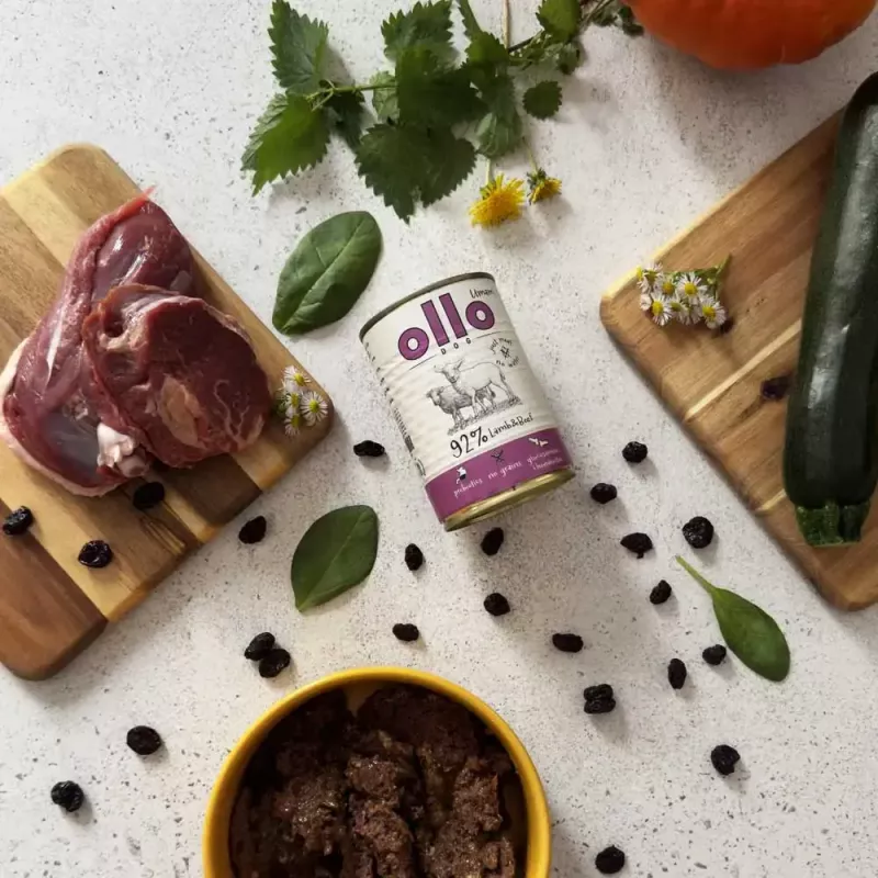 Karma mokra dla psa OLLO Umami jagnięcina i wołowina 850 g — dorosłe, bezzbożowa, bezglutenowa i bez soi