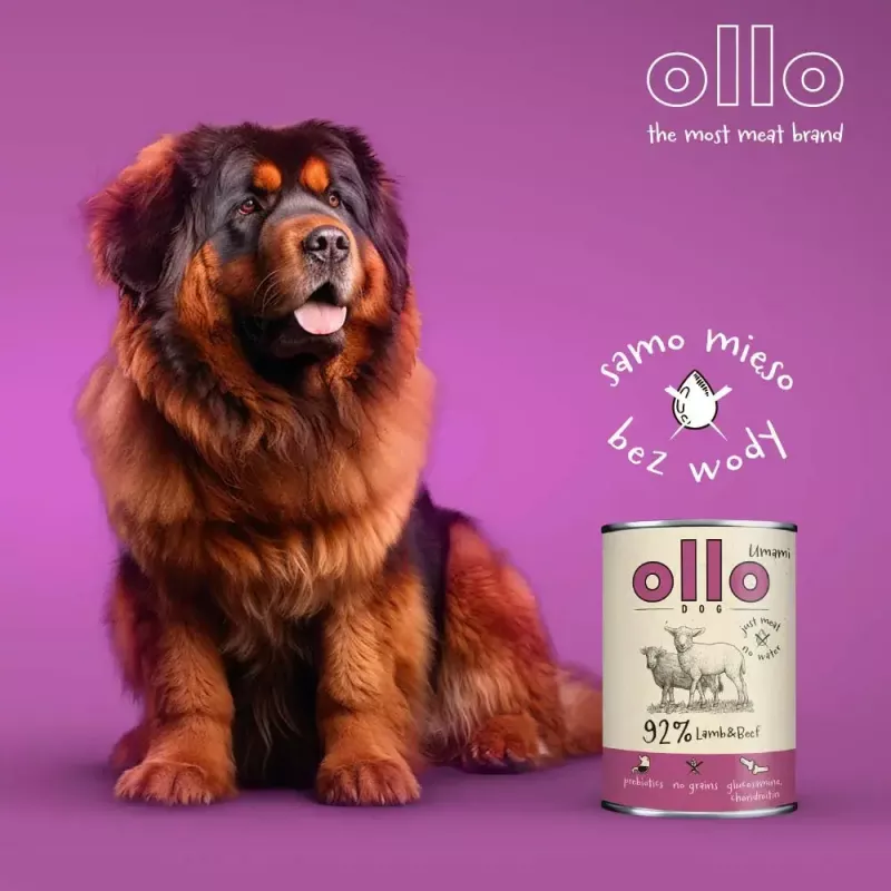 Karma mokra dla psa OLLO Umami jagnięcina i wołowina 850 g — dorosłe, bezzbożowa, bezglutenowa i bez soi