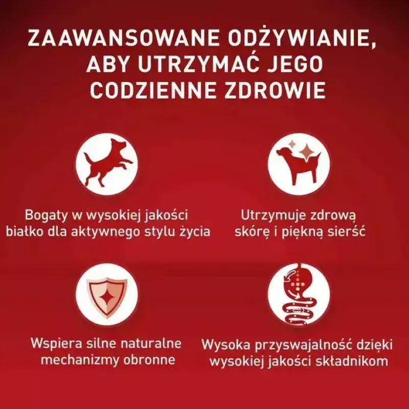 Mokra karma dla psa Purina Nestlé One Mini/Small Active Beef 85 g — mokra karma dla dorosłych psów małych ras, 76,4% wilgotności, 12,5% białka