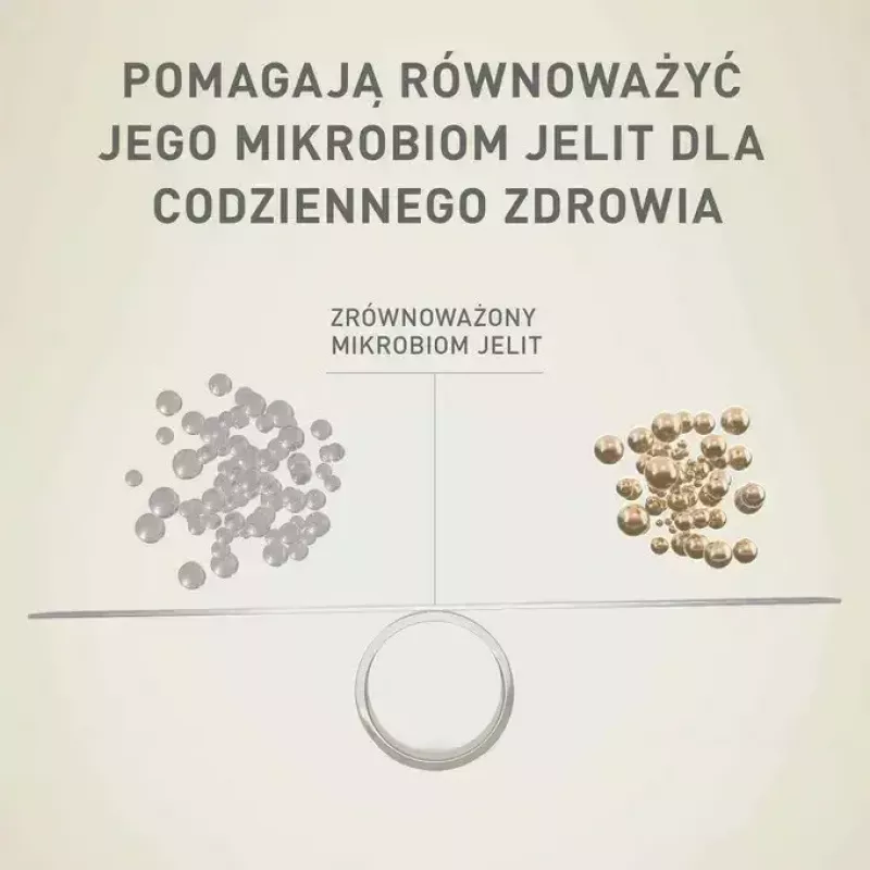 Mokra karma dla psa Purina Nestlé One Mini/Small Active Beef 85 g — mokra karma dla dorosłych psów małych ras, 76,4% wilgotności, 12,5% białka