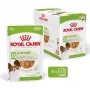 Mokra karma dla psów Royal Canin X-Small Puppy Meat 85 g saszetki, 12 x 85 g, dla ras X-Small/Małych