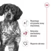 Sucha karma dla psa Royal Canin Medium Adult — kurczak i wieprzowina, 4 kg; białko 25%, tłuszcz 14%