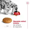 Sucha karma dla psa Royal Canin Medium Adult — kurczak i wieprzowina, 4 kg; białko 25%, tłuszcz 14%
