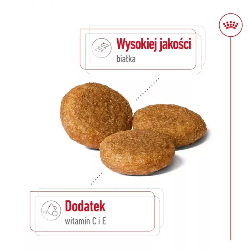 Sucha karma dla psa Royal Canin Medium Adult — kurczak i wieprzowina, 4 kg; białko 25%, tłuszcz 14%