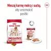 Sucha karma dla psa Royal Canin Medium Adult — kurczak i wieprzowina, 4 kg; białko 25%, tłuszcz 14%