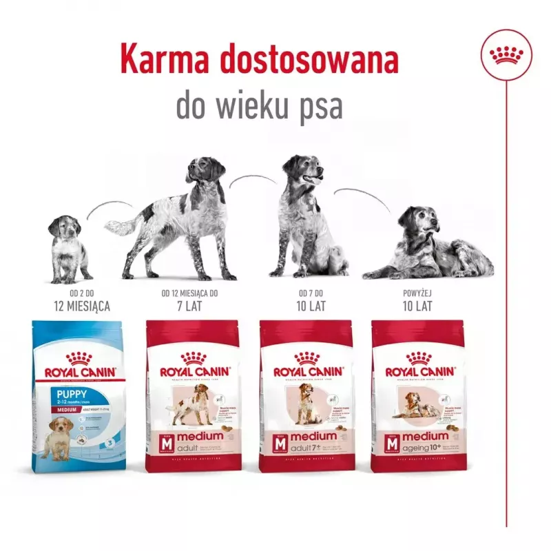 Sucha karma dla psa Royal Canin Medium Adult — kurczak i wieprzowina, 4 kg; białko 25%, tłuszcz 14%