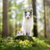 Mokra karma dla psów VETEXPERT RAW PALEO Puppy Monoprotein Duck 400 g, wilgotność 74,8%, białko 9,6%, tłuszcz 10,6%