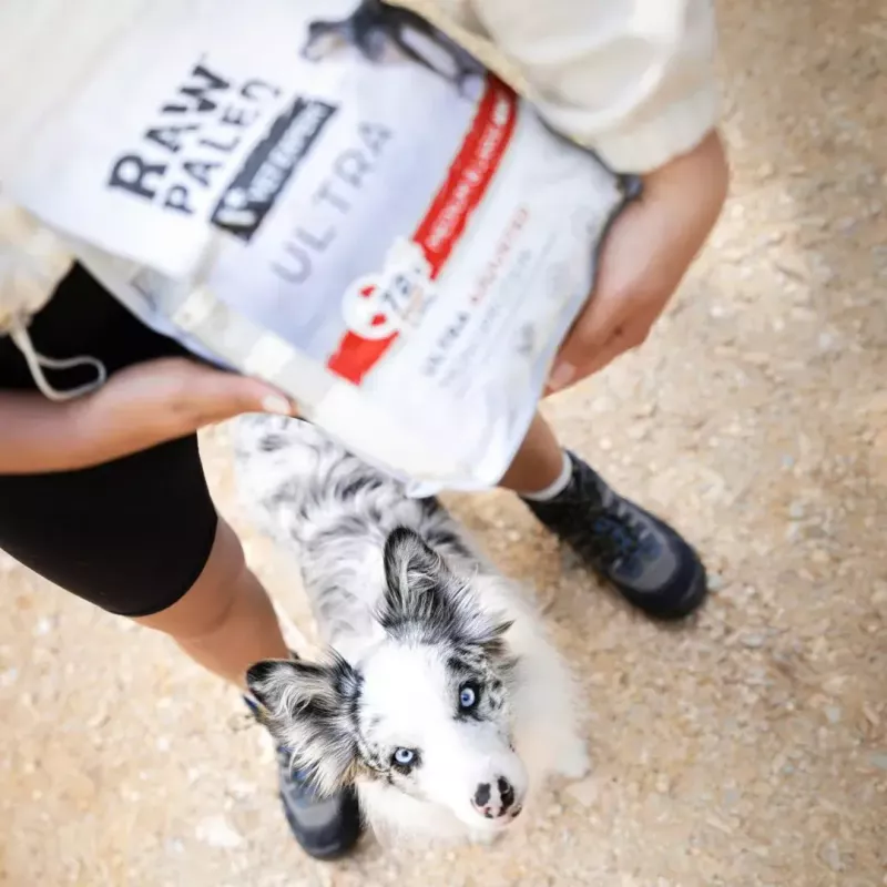 VETEXPERT RAW PALEO Ultra Mini Adult wołowina, sucha karma dla psów, 2 kg