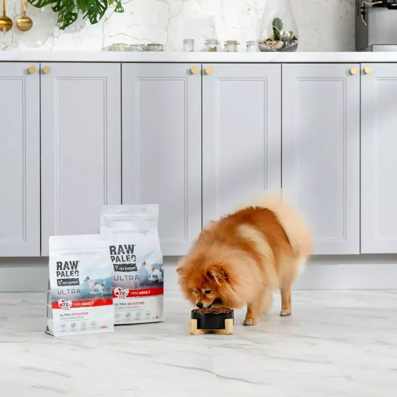 VETEXPERT RAW PALEO Ultra Mini Adult wołowina, sucha karma dla psów, 2 kg