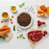 Sucha karma dla szczeniąt VETEXPERT RAW PALEO Ultra Medium & Large Beef 2 kg — wołowina, białko 30,5%, tłuszcz 16,5%