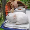 Klatka FERPLAST Rabbit 120 niebieski — metalowo-plastikowa klatka dla królików 1180×585×495 mm, dla królików 5–9,9 kg