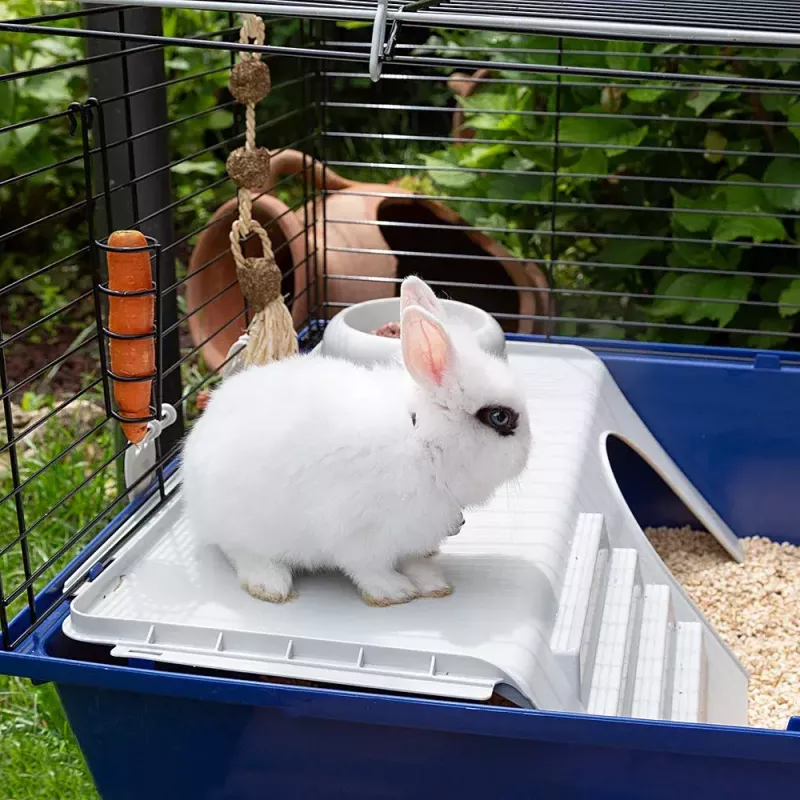 Klatka FERPLAST Rabbit 120 niebieski — metalowo-plastikowa klatka dla królików 1180×585×495 mm, dla królików 5–9,9 kg