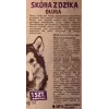 Gryzak dla psa MACED Skóra dzika 45 cm — naturalny gryzak ze skóry, 40 g, smak dziczyzny, bez cukru i glutenu